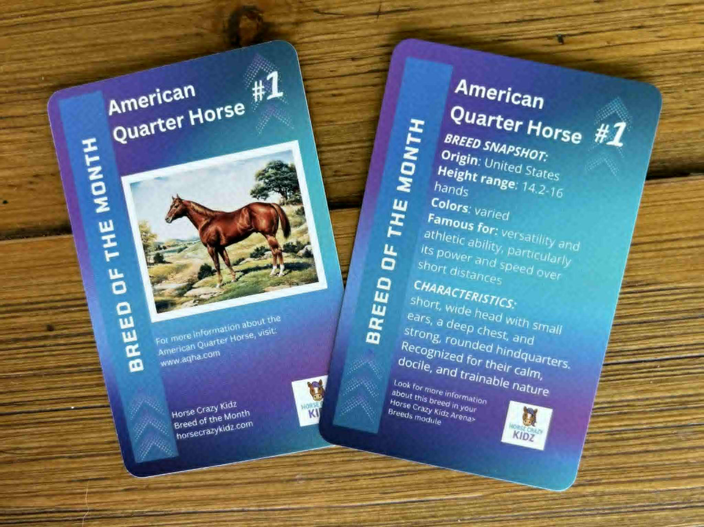 One numbered Collectible Breed of the Month card with breed facts and characteristics.