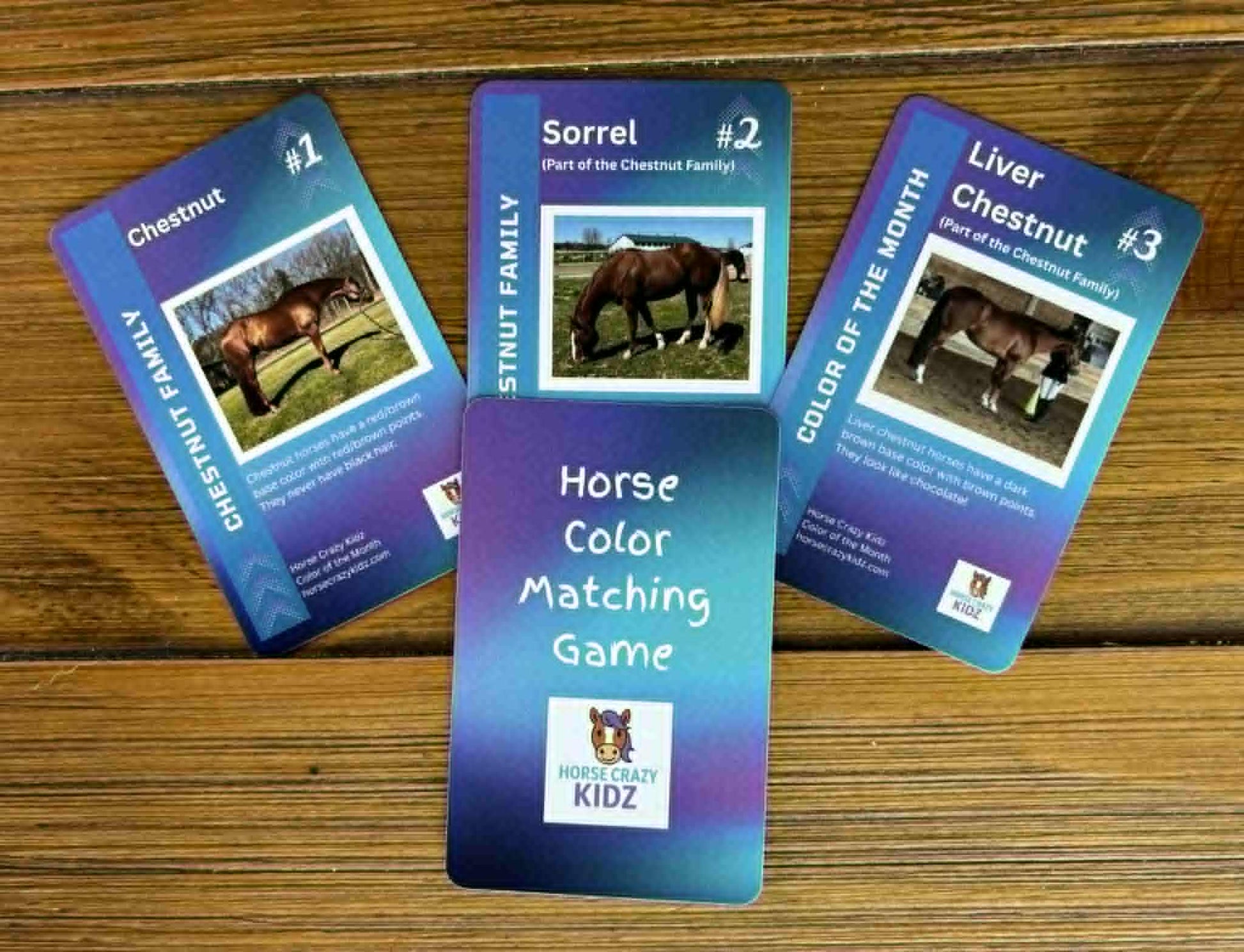 Pairs of numbered collectible Color Cards.  Collect them each month for a game of Horse Color Matching. New colors/patterns each month.