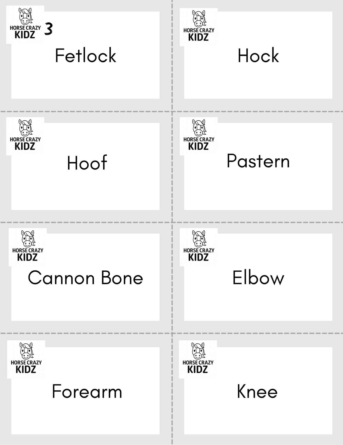 Parts of the Horse - Printable Activity Pack for Kids 6-12