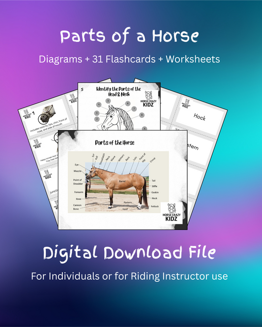 Parts of the Horse - Printable Activity Pack for Kids 6-12