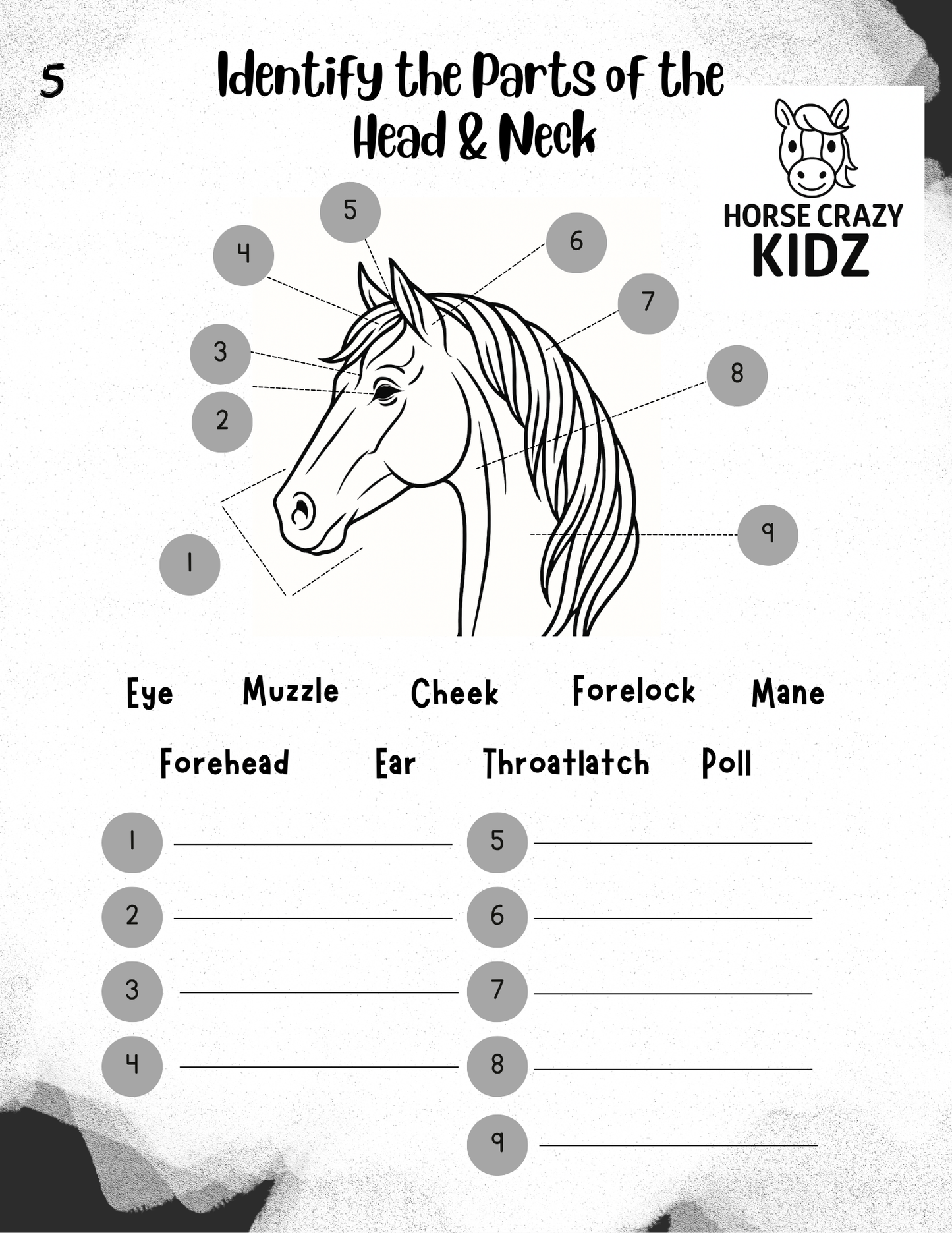 Parts of the Horse - Printable Activity Pack for Kids 6-12