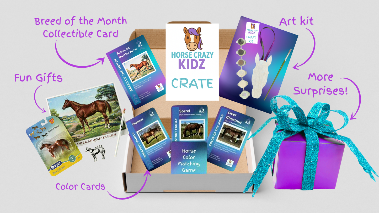 The HORSE CRAZY CRATE, full of horse fun & surprises!
