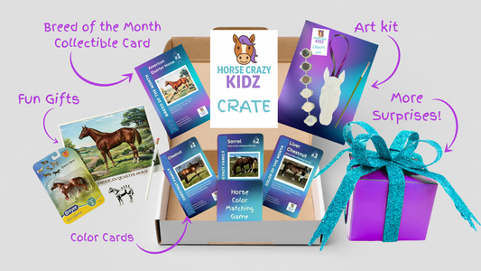 The HORSE CRAZY CRATE, full of horse fun & surprises!